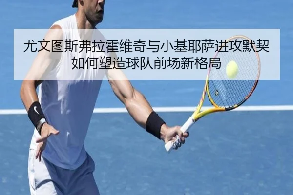尤文图斯弗拉霍维奇与小基耶萨进攻默契如何塑造球队前场新格局