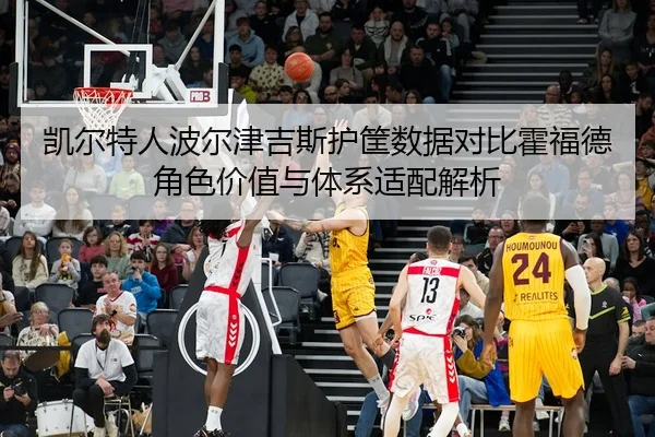 凯尔特人波尔津吉斯护筐数据对比霍福德角色价值与体系适配解析